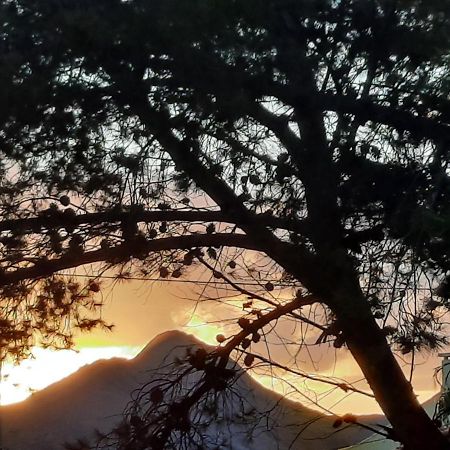 Quintinha Das Lombas S Porto Santo Bagian luar foto