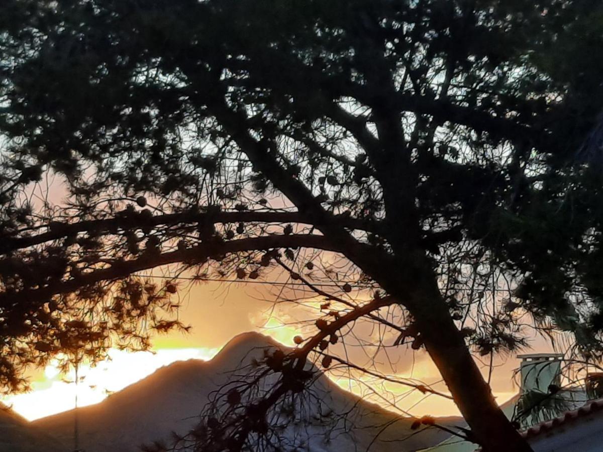Quintinha Das Lombas S Porto Santo Bagian luar foto